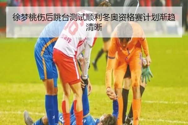 徐梦桃伤后跳台测试顺利冬奥资格赛计划渐趋清晰