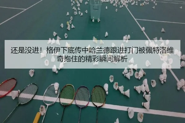 还是没进！格伊下底传中哈兰德跟进打门被佩特洛维奇抱住的精彩瞬间解析